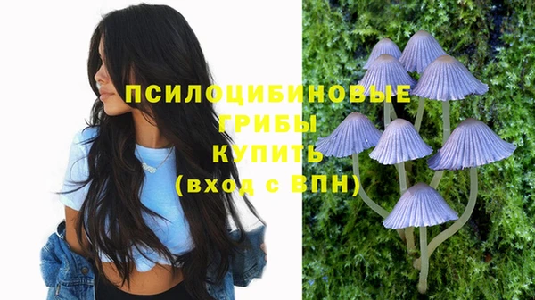 винт Абинск