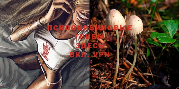винт Абинск